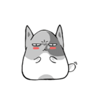 Cute cats Moya and Miyu（個別スタンプ：16）