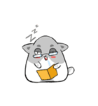 Cute cats Moya and Miyu（個別スタンプ：19）