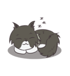 Browny Cat - Funny and Lucky Cat（個別スタンプ：5）