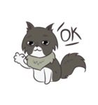 Browny Cat - Funny and Lucky Cat（個別スタンプ：14）