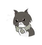 Browny Cat - Funny and Lucky Cat（個別スタンプ：17）