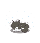 Browny Cat - Funny and Lucky Cat（個別スタンプ：22）