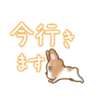 フレンチブルドッグ 自信のない犬（個別スタンプ：11）