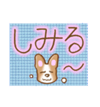 フレンチブルドッグ 自信のない犬（個別スタンプ：23）