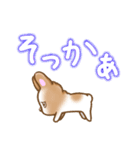 フレンチブルドッグ 自信のない犬（個別スタンプ：35）