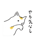 おきらくねこ（個別スタンプ：19）
