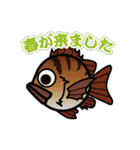 魚（ぎょ）TAMP（個別スタンプ：4）