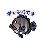 魚（ぎょ）TAMP（個別スタンプ：16）