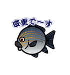魚（ぎょ）TAMP（個別スタンプ：21）