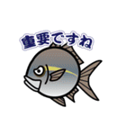 魚（ぎょ）TAMP（個別スタンプ：24）