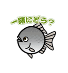 魚（ぎょ）TAMP（個別スタンプ：38）