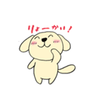 わんこからの連絡（個別スタンプ：1）