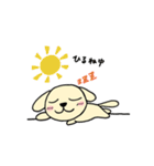 わんこからの連絡（個別スタンプ：2）