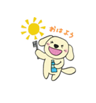 わんこからの連絡（個別スタンプ：15）