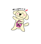 わんこからの連絡（個別スタンプ：21）