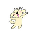 わんこからの連絡（個別スタンプ：23）