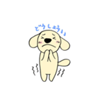 わんこからの連絡（個別スタンプ：34）