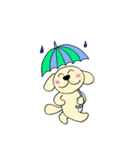 わんこからの連絡（個別スタンプ：37）