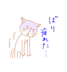 博多弁までは使わない福岡在住の白ネコ（個別スタンプ：27）