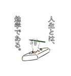 お餅さん（個別スタンプ：16）