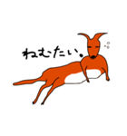 カンガルーのジャック（個別スタンプ：27）