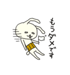 はらまきうさぎ（個別スタンプ：25）