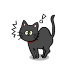 黒猫ポコちゃん（個別スタンプ：3）