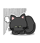 黒猫ポコちゃん（個別スタンプ：5）