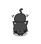 黒猫ポコちゃん（個別スタンプ：6）