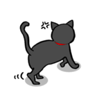 黒猫ポコちゃん（個別スタンプ：11）