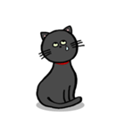 黒猫ポコちゃん（個別スタンプ：12）