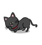 黒猫ポコちゃん（個別スタンプ：15）