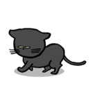 黒猫ポコちゃん（個別スタンプ：17）