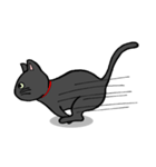 黒猫ポコちゃん（個別スタンプ：18）