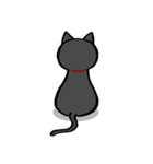 黒猫ポコちゃん（個別スタンプ：19）