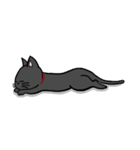 黒猫ポコちゃん（個別スタンプ：20）