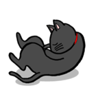 黒猫ポコちゃん（個別スタンプ：21）