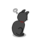 黒猫ポコちゃん（個別スタンプ：22）