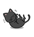 黒猫ポコちゃん（個別スタンプ：23）