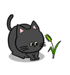 黒猫ポコちゃん（個別スタンプ：27）