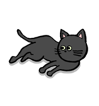 黒猫ポコちゃん（個別スタンプ：32）