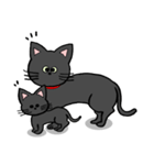 黒猫ポコちゃん（個別スタンプ：37）