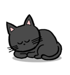 黒猫ポコちゃん（個別スタンプ：38）
