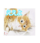 関西弁リアル猫（個別スタンプ：3）