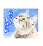 関西弁リアル猫（個別スタンプ：4）