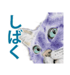 関西弁リアル猫（個別スタンプ：22）
