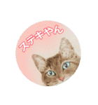 関西弁リアル猫（個別スタンプ：28）