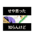 関西弁リアル猫（個別スタンプ：36）