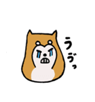 はちおくん（のんびり柴いぬ）（個別スタンプ：10）