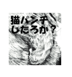 vol.02 Cats ＆ Dogs 2 - 山田貴裕 - 猫＆犬（個別スタンプ：23）